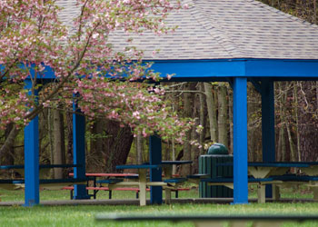 Pavilions at Estell Manor Park