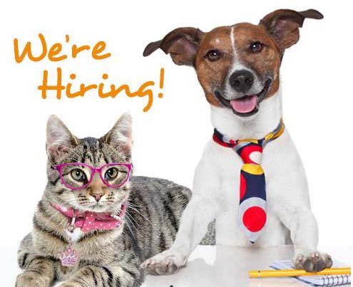 We're Hiring [image shows dog and cat]