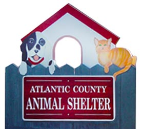 About Our Shelter - Public Health - Atlantic County Government