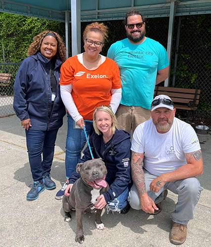 Five employees from Atlantic City Electric visit with a Shelter dog.