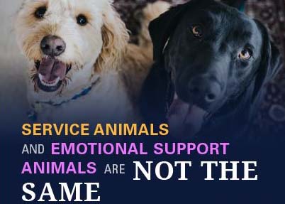 Service Animals and Emotional Suppot Animals are Not the Same [link to poster]