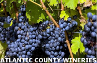 Atlantic County Wine Trail