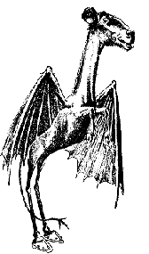 A Jersey Devil black and white illustration.