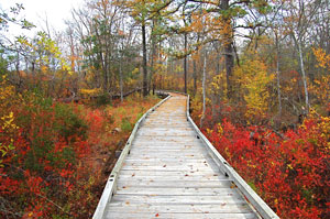 Estell Manor Park Trails