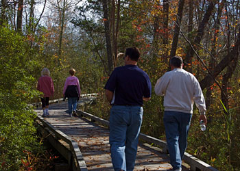 Wooden Hiking Trails