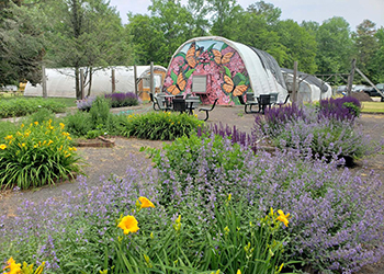 Butterfly Garden at Estell Manor Park.