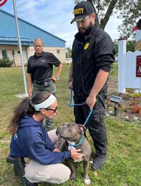 Clear the Shelters Photo