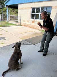 Clear the Shelters Photo