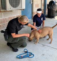 Clear the Shelters Photo