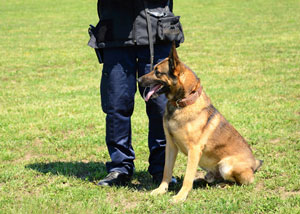 k9 police academy